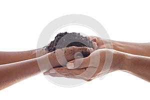 Young girlÃÂ Hands hold protect SmallÃÂ sproutÃÂ tree plant in blackÃÂ soilÃÂ on sunlight white background. AgricultureÃÂ organicÃÂ  photo